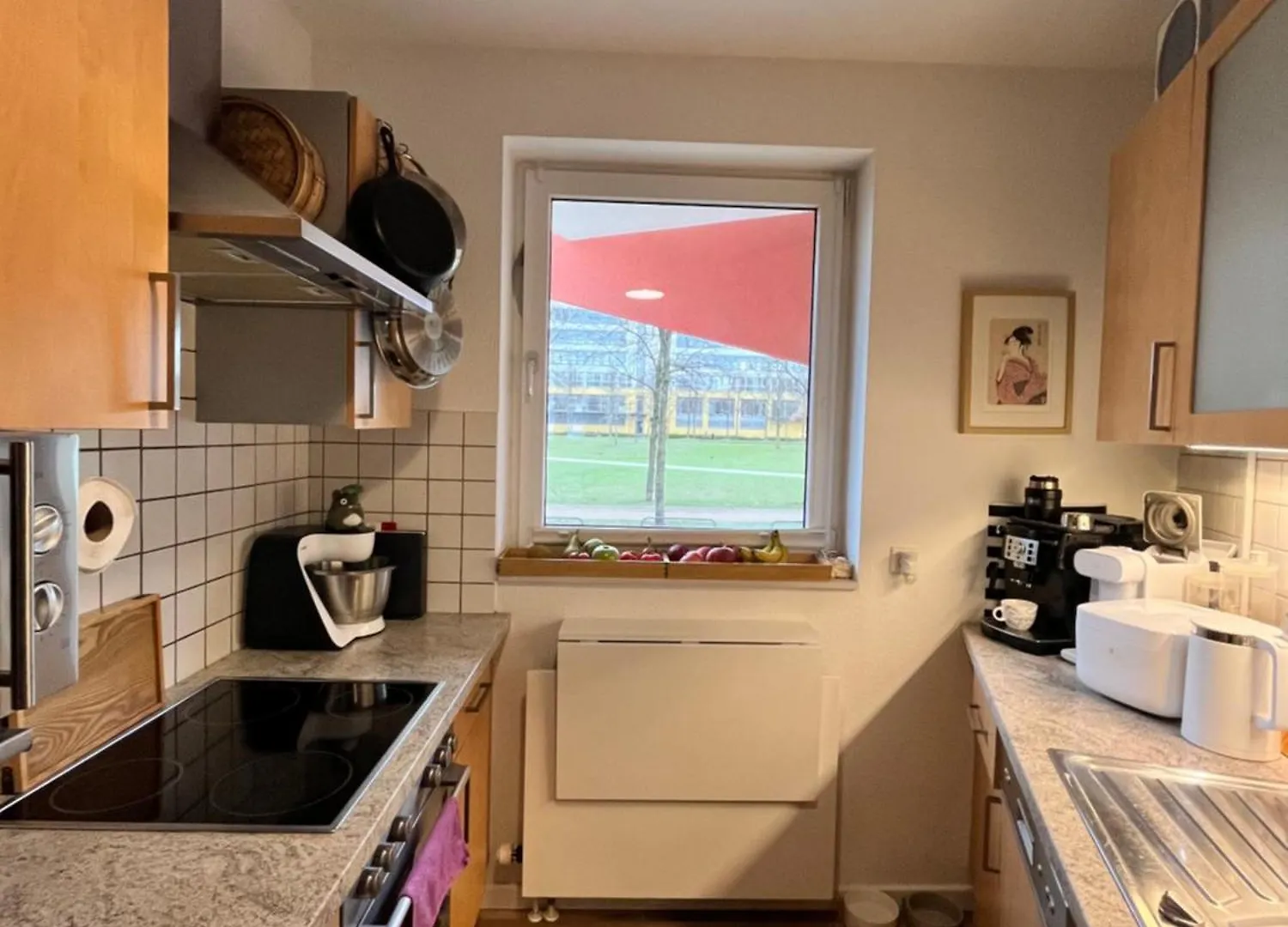 Separate Privat Room In Shared Apartment With 2 Cats And 1 Person Dusseldorf