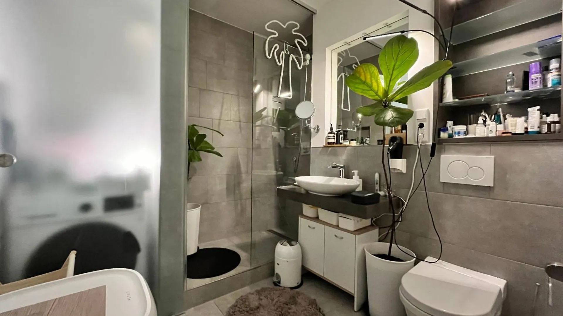 Separate Privat Room In Shared Apartment With 2 Cats And 1 Person Dusseldorf